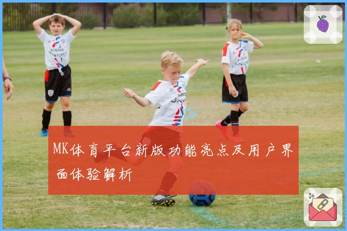 MK体育平台新版功能亮点及用户界面体验解析