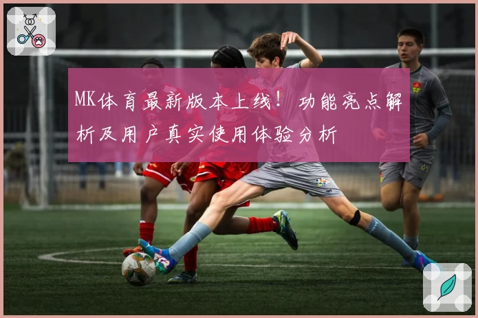 MK体育最新版本上线！功能亮点解析及用户真实使用体验分析